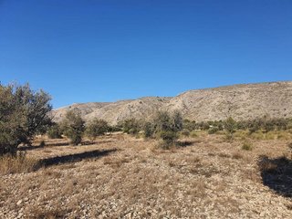 Terreno en venta en San Francisco en Villena