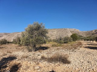 Terreno en venta en San Francisco en Villena