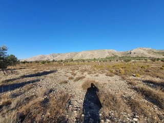 Terreno en venta en San Francisco en Villena
