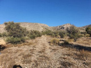 Terreno en venta en San Francisco en Villena