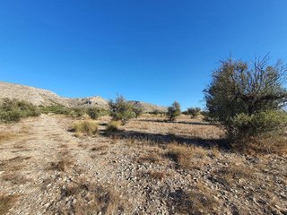 Terreno en venta en San Francisco en Villena