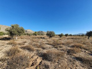Terreno en venta en San Francisco en Villena