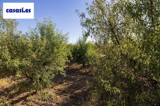 Terreno en venta en Dúrcal