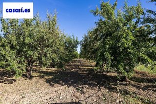 Terreno en venta en Dúrcal