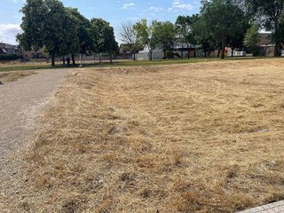 Terreno en venta en Mollerussa