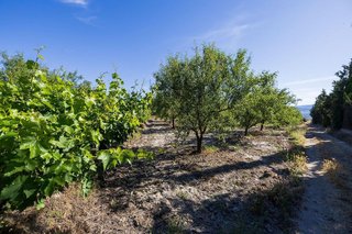 Terreno en venta en Dúrcal
