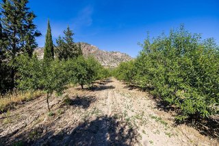Terreno en venta en Dúrcal