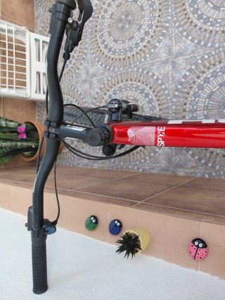 Bicicleta BH 29 Talla L Monoplato