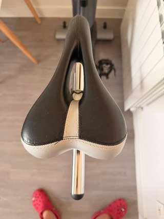 Bicicleta de Spinning Gris