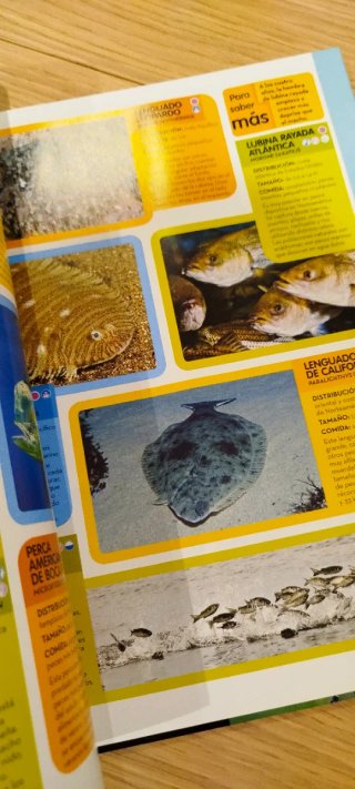 Enciclopedia de los animales: 2500 animales con...