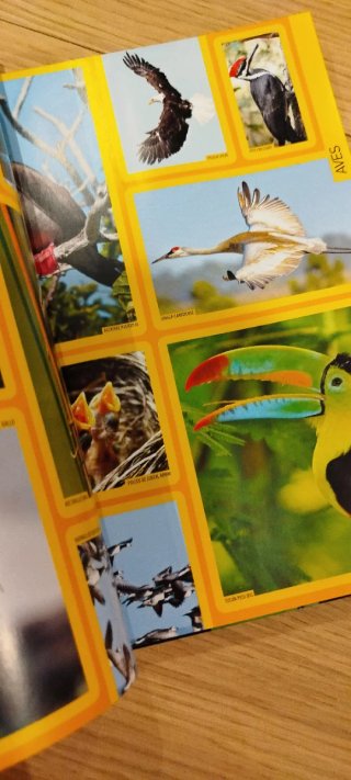Enciclopedia de los animales: 2500 animales con...