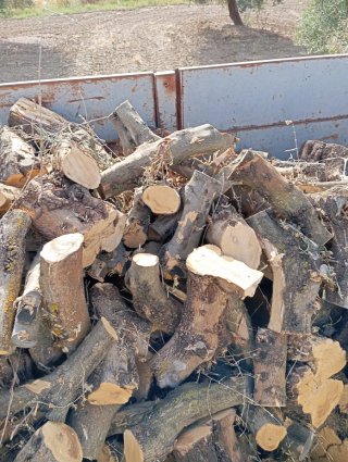 Leña de olivo para chimeneas