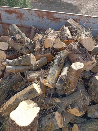 Leña de olivo para chimeneas