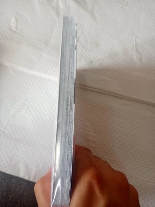 La vida de un mangaka 1