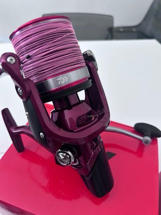 2 Mulinelli Daiwa Emblem Surf 45 SCW QD TYPE-R
