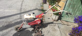 Motoazada Yanmar Te500
