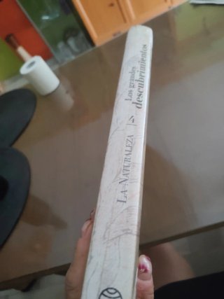 Enciclopedia