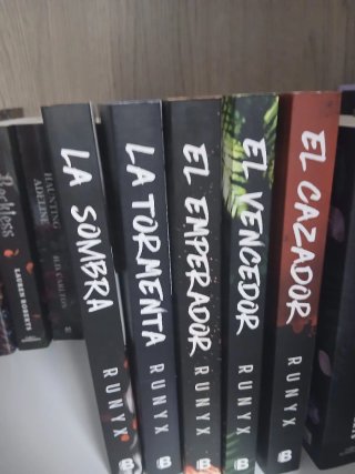 Lote de 30 libros best seller