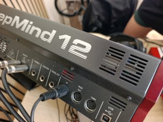 Behringer DeepMind 12 Sintetizador