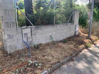 Jardinero a domicilio