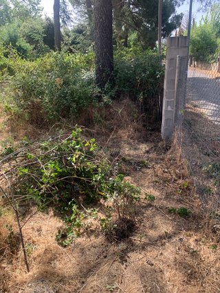 Jardinero a domicilio
