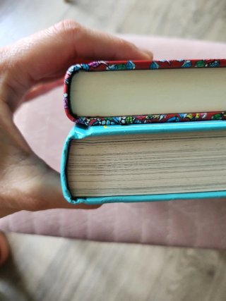 2 LIBROS LA ABUELA GANSTER + EL MONSTRUO CABEZÓN