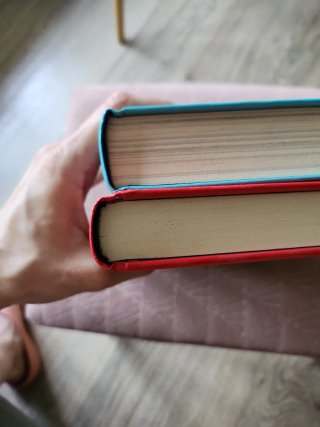2 LIBROS LA ABUELA GANSTER + EL MONSTRUO CABEZÓN