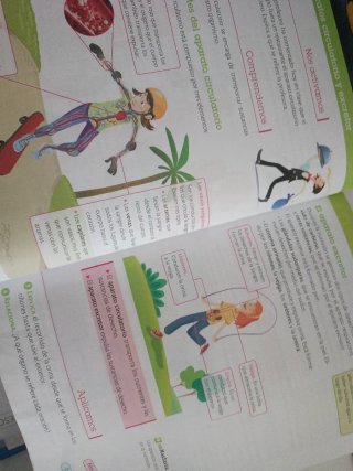 Ciencias de la naturaleza, 4 Primaria, Aragón M...