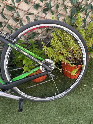 Bicicleta de carretera BAS verde