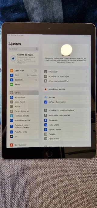 iPad 7ª Gen 128GB Gris Espacial