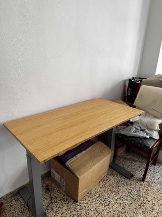 Flexispot Escritorio Elevable Eléctrico