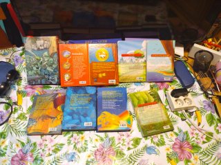 Libros gerónimo stilton
