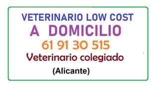 Veterinario a domicilio