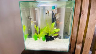 Acuario Fluval Edge 46L Blanco