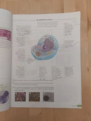 Biología y Geología. 3 Secundaria. Revuela. Com...