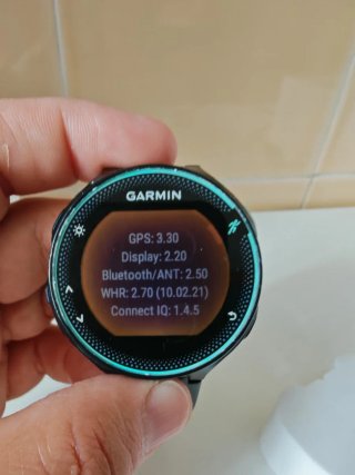Garmin Forerunner GPS Reloj Deportivo