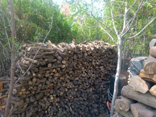 Leña de naranjo para chimenea y barbacoas