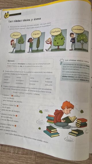 Lengua 5 Primaria
