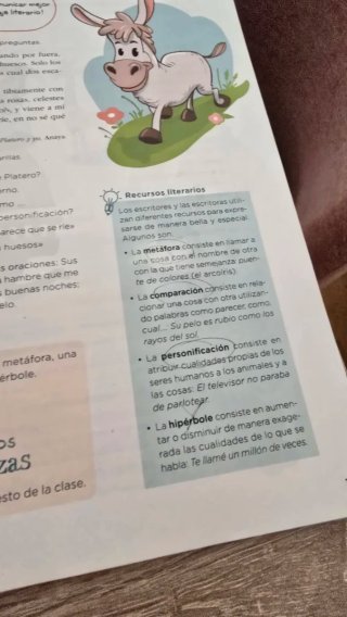 Lengua 5 Primaria