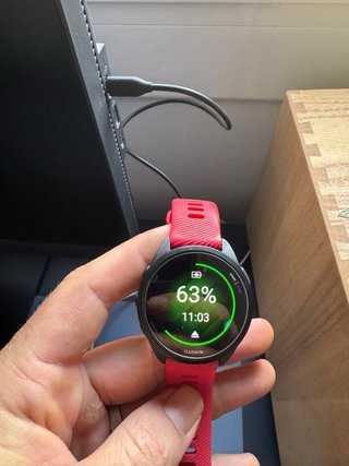 Garmin Forerunner 165 GPS Smartwatch