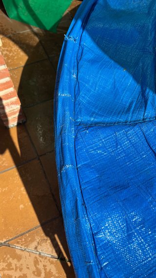 Cama elástica infantil con red de seguridad