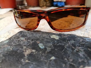 Occhiali da sole Fesan Tartaruga