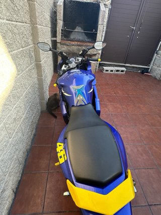 Yamaha TZR 50cc Azul/Amarillo valentino rosi