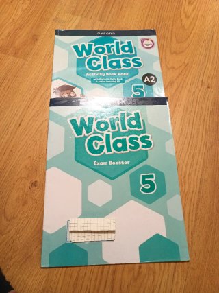 World Class 5 Activity Book (Spain)