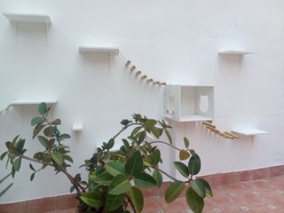 Servicios de pintura profesional en Castellón