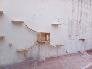 Servicios de pintura profesional en Castellón
