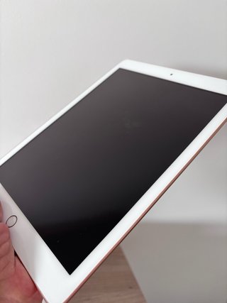 iPad 6 128GB Rosa
