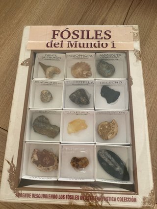 Colección Fósiles del Mundo 1
