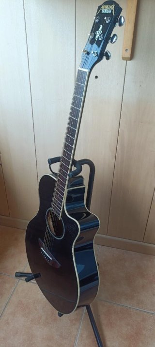 YAMAHA APX600 ed. Metallica