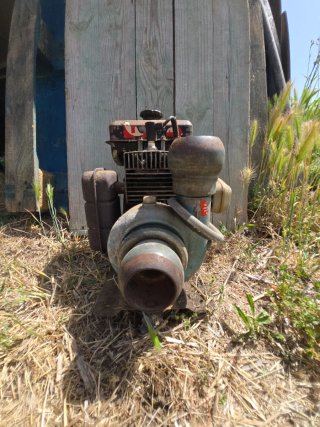 Bomba de agua Minarelli